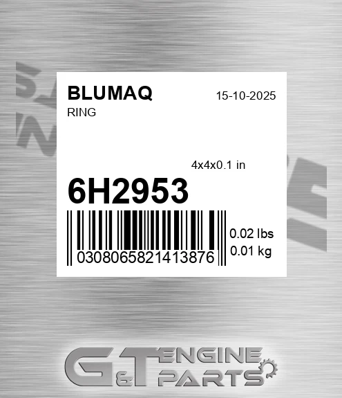 6H-2953 Ring