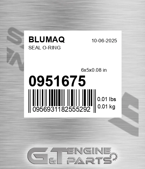 095-1675 Seal O-ring for BLUMAQ
