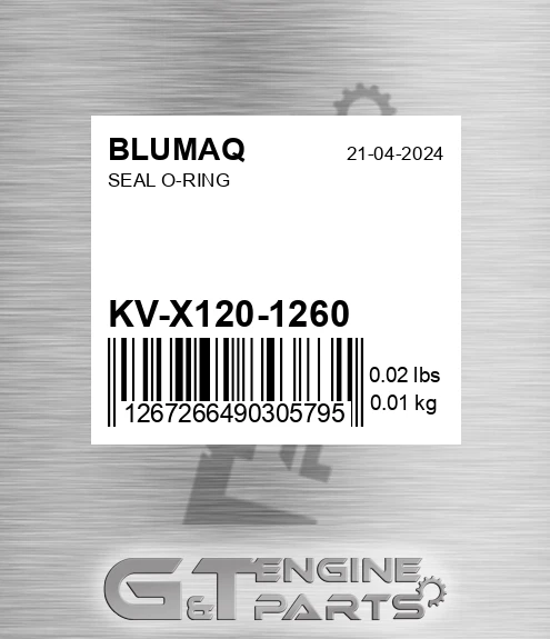 KV-X120-1260 Seal O-ring for BLUMAQ