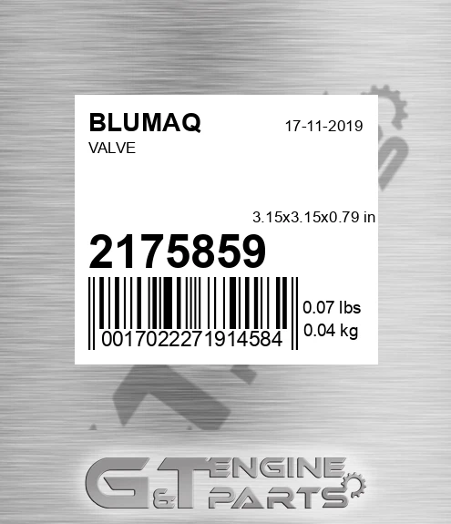 217-5859 Valve for BLUMAQ