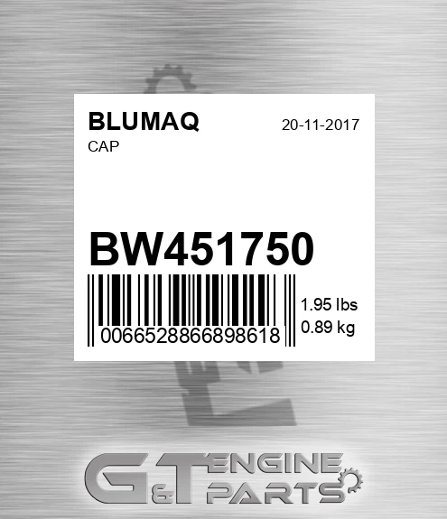 BW451750 Cap for BLUMAQ