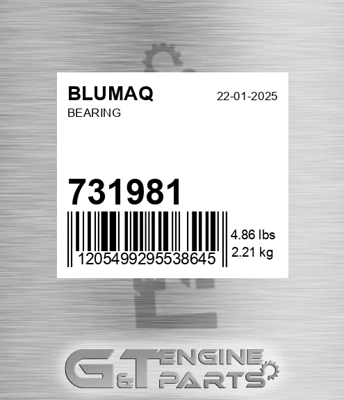 731981 Bearing