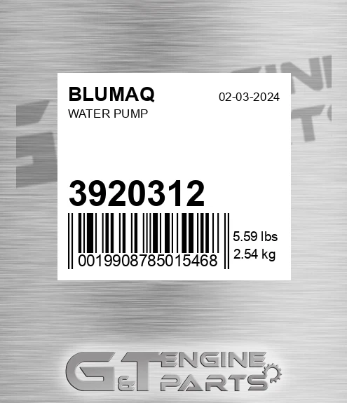 3920312 BLUMAQ Water Pump