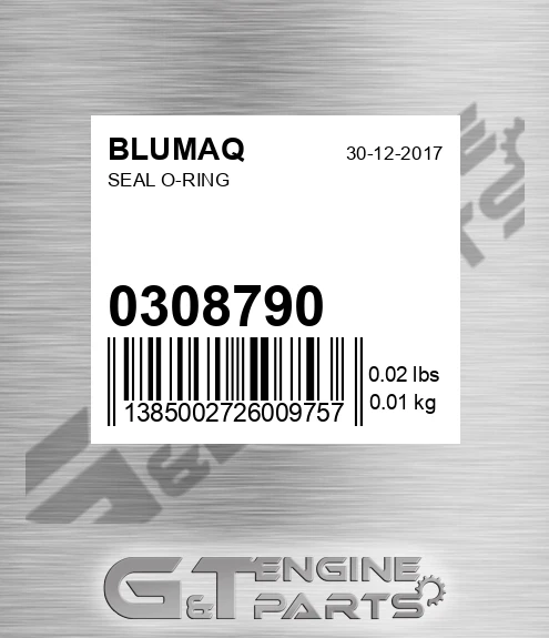 0308790 BLUMAQ Seal O-ring