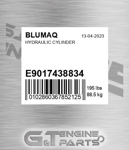 E9017438834 Hydraulic Cylinder for BLUMAQ