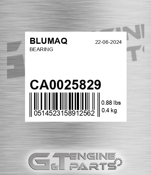 CA0025829 Bearing for BLUMAQ