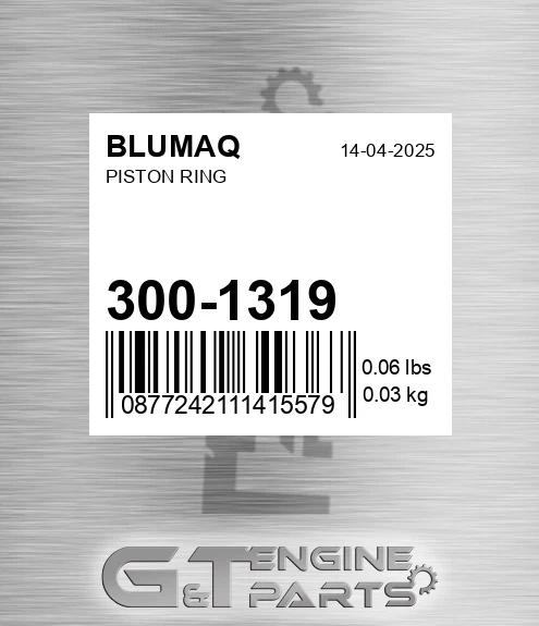 300-1319 Piston Ring