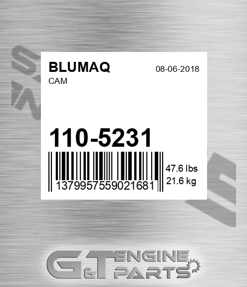 110-5231 BLUMAQ Cam