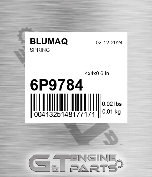 6P-9784 Spring for BLUMAQ