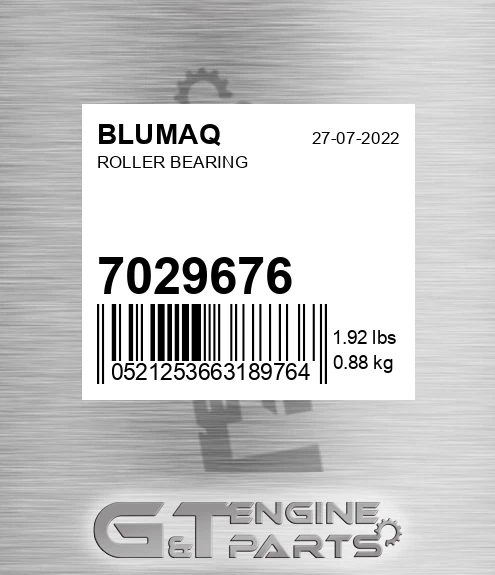 7029676 Roller Bearing for BLUMAQ