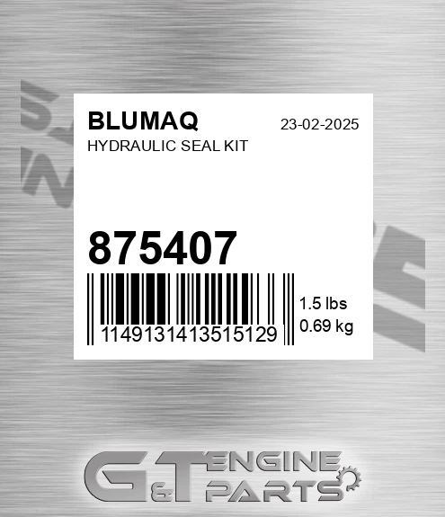 875407 Hydraulic Seal Kit