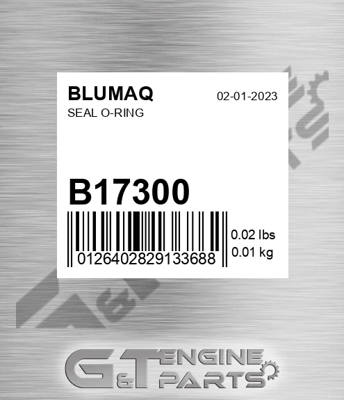 B17300 Seal O-ring
