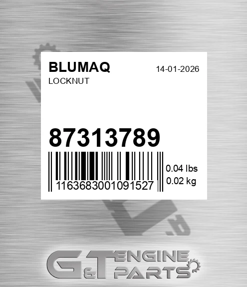 87313789 Locknut
