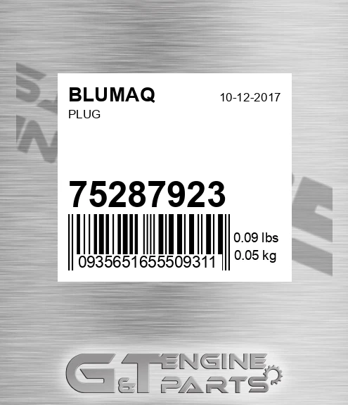 75287923 BLUMAQ Plug