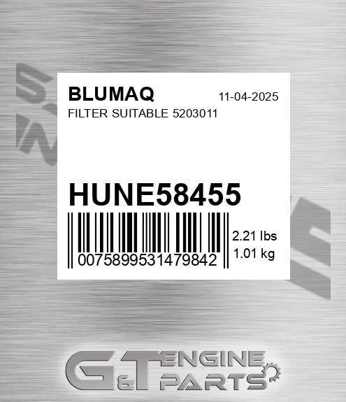 HUNE58455 Filter Suitable 5203011 for BLUMAQ