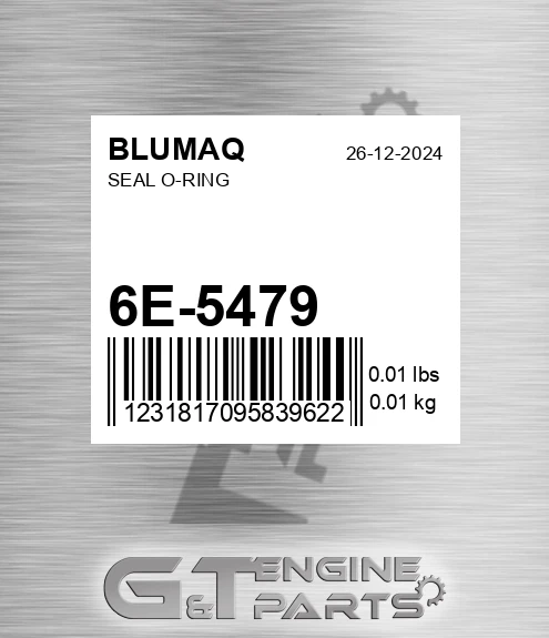 6E-5479 Seal O-ring for BLUMAQ