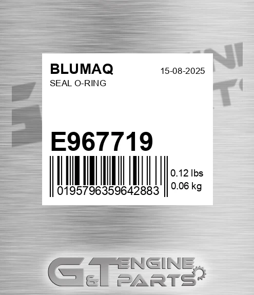 E967719 Seal O-ring for BLUMAQ