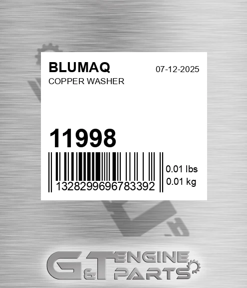 11998 BLUMAQ Copper Washer