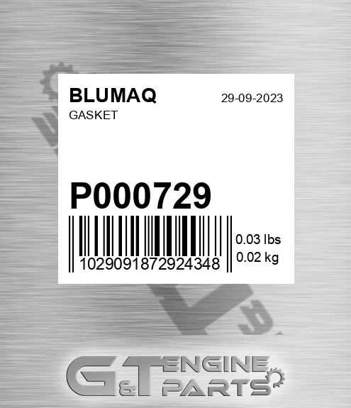 P000729 Gasket for BLUMAQ