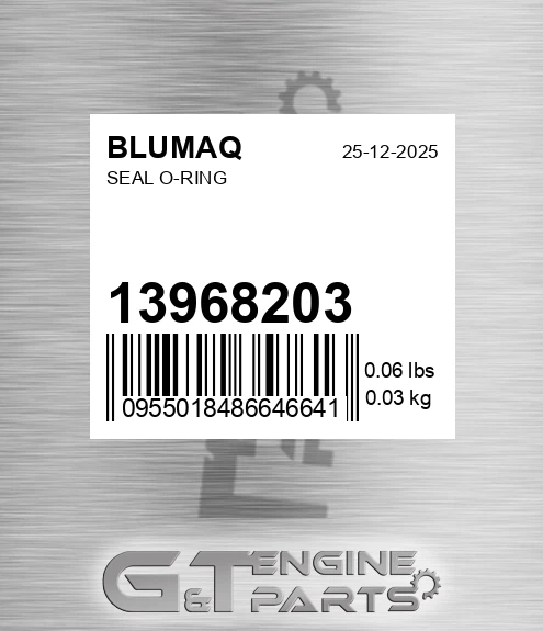 13968203 Seal O-ring for BLUMAQ