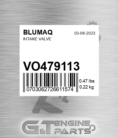 VO479113 Intake Valve for BLUMAQ