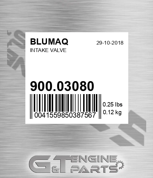 900.03080 Intake Valve for BLUMAQ