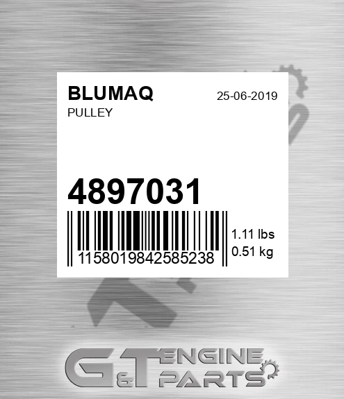 4897031 Pulley for BLUMAQ
