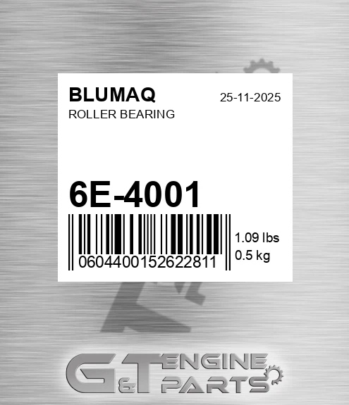 6E-4001 Roller Bearing