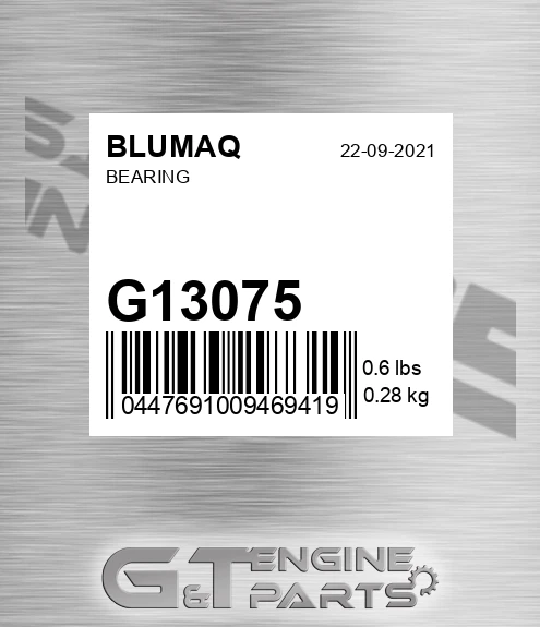 G13075 Bearing