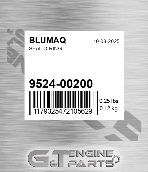 9524-00200 BLUMAQ Seal O-ring