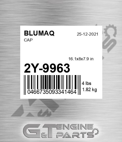 2Y-9963 Cap for BLUMAQ