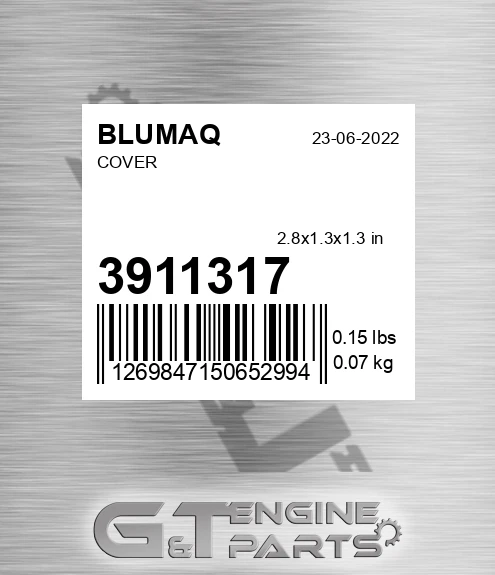 391-1317 Cover for BLUMAQ