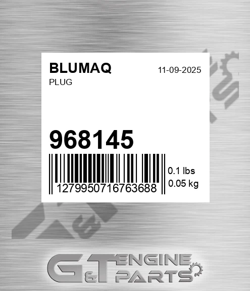 968145 Plug for BLUMAQ