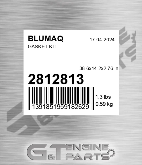 281-2813 Gasket Kit for BLUMAQ