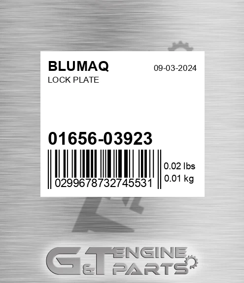 01656-03923 Lock Plate for BLUMAQ