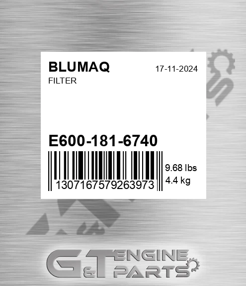 E600-181-6740 Filter for BLUMAQ