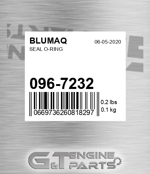 096-7232 Seal O-ring for BLUMAQ