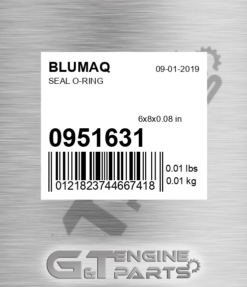 095-1631 Seal O-ring for BLUMAQ