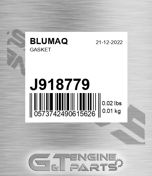 J918779 BLUMAQ Gasket