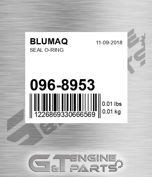 096-8953 Seal O-ring for BLUMAQ