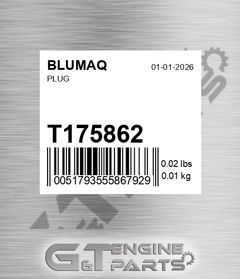 T175862 Plug for BLUMAQ
