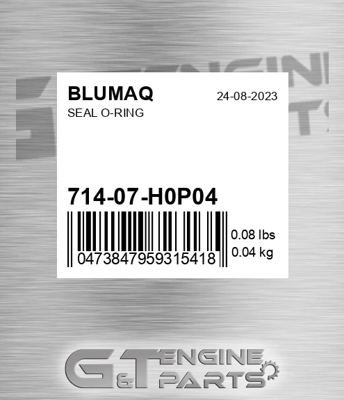 714-07-H0P04 Seal O-ring for BLUMAQ