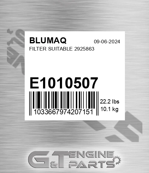 E1010507 Filter Suitable 2925863