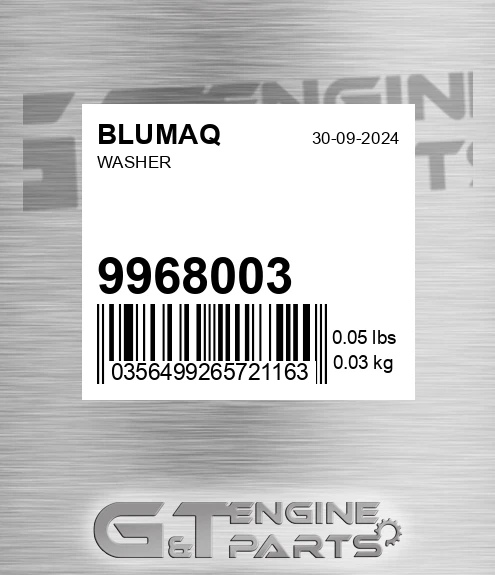 9968003 BLUMAQ Washer
