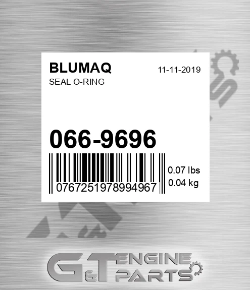 066-9696 Seal O-ring for BLUMAQ