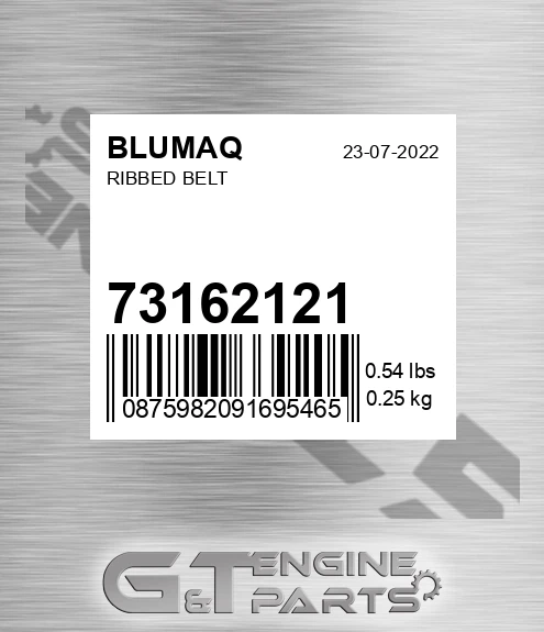73162121 Ribbed Belt