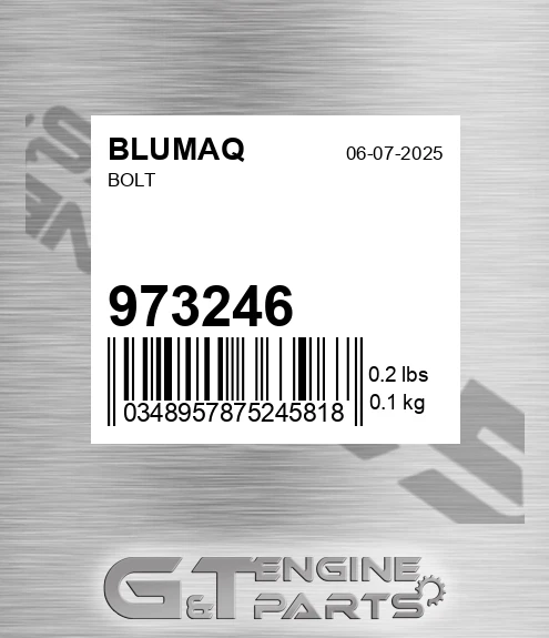 973246 Bolt for BLUMAQ