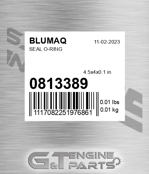 081-3389 Seal O-ring for BLUMAQ