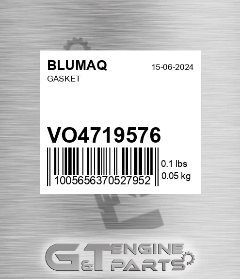 VO4719576 Gasket for BLUMAQ
