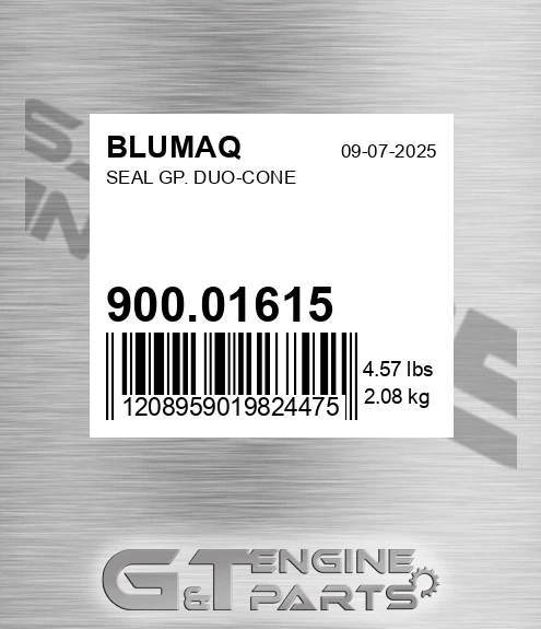900.01615 Seal Gp. Duo-cone for BLUMAQ